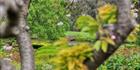 Japanese Garden - Cowra 